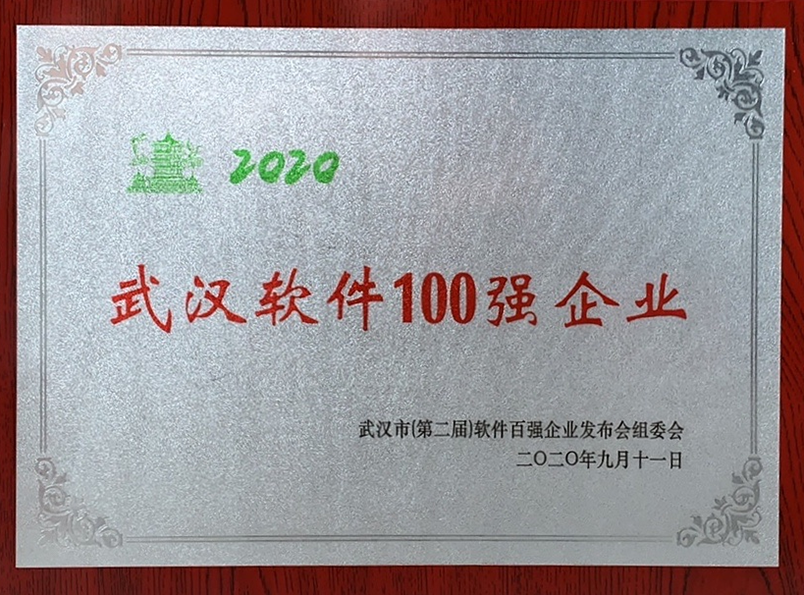 16、2020年武汉软件100强企业
